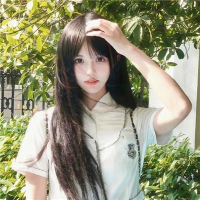 美国兔子的冒险