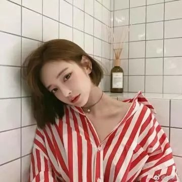 哈莉·奎茵第四季